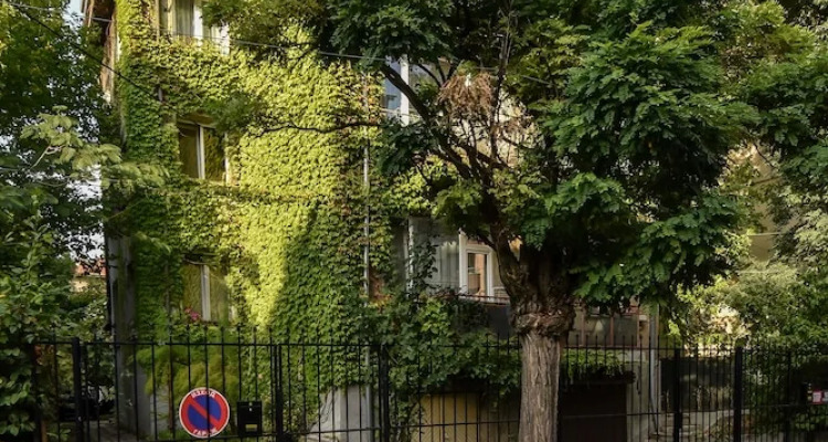 Fm Economy Studio The Green House