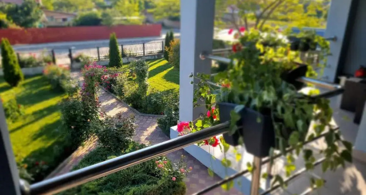 Casa Cu Trandafiri Murighiol