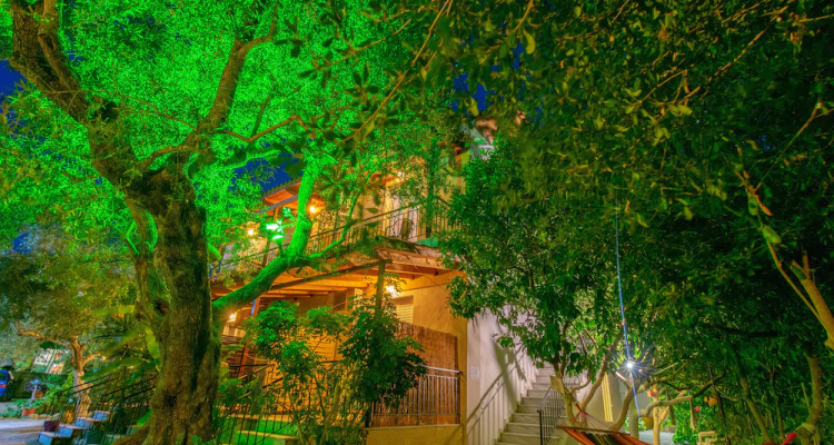 Anna Koralli Studios