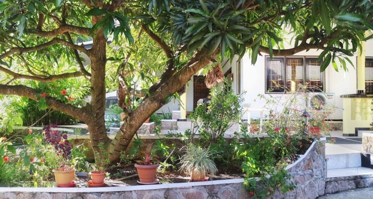 Lapasyans Self-Catering