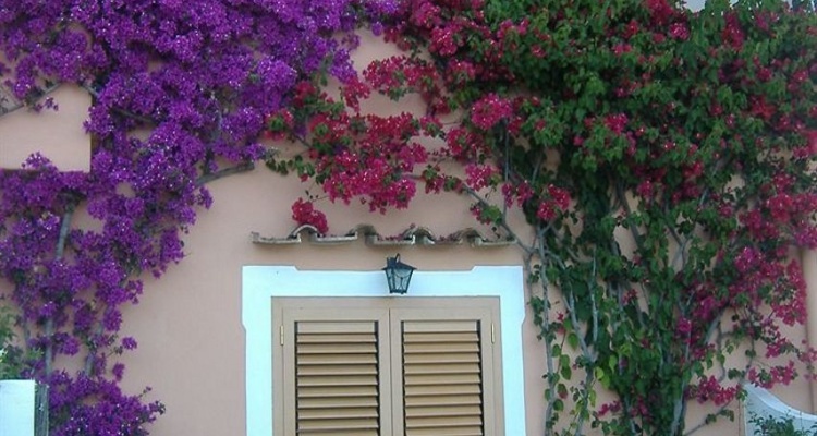 Hotel Conca D'oro
