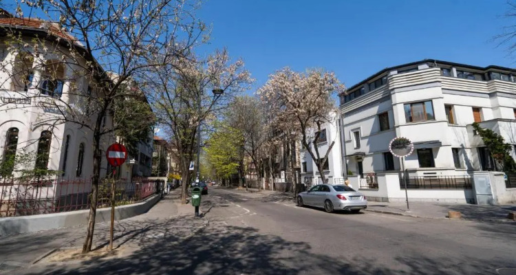 W29 Cozy Deluxe Studio