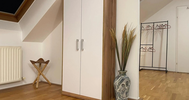 Ruhiges Dachgescho Cityapartment Im Zentrum Wiens