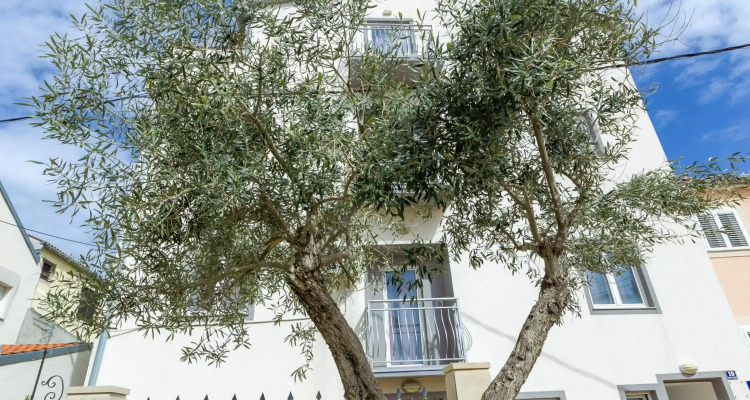 Apartments In City Center Ventus