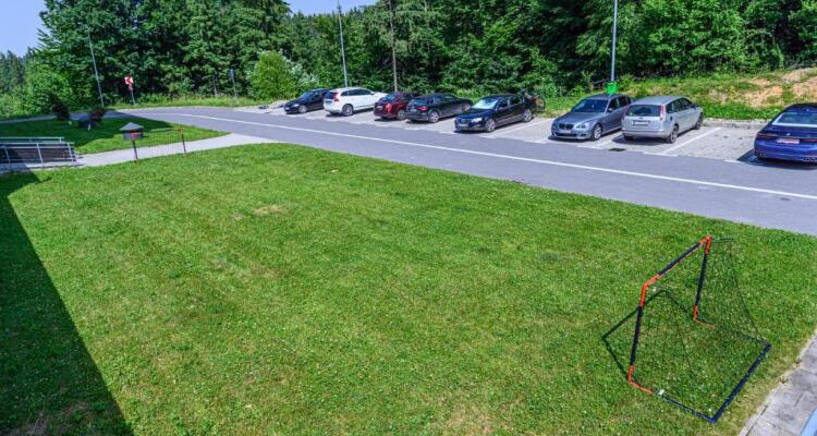 Pine Woods Studio D113 In Silver Mountain