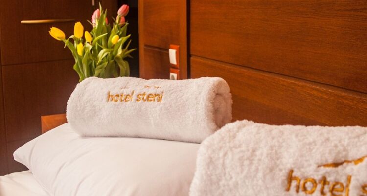 Hotel Steni