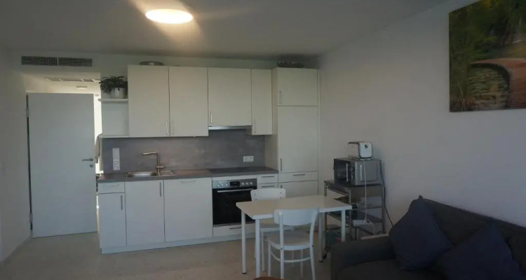 Augartenblick Penthaus 17 Blick Zum Riesenrad