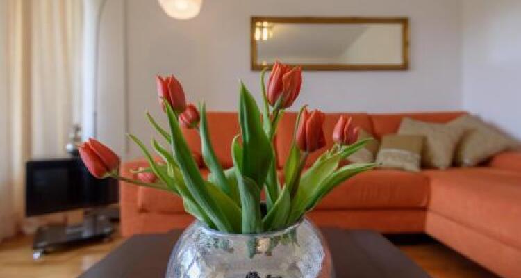 Marina Yacht Apartment