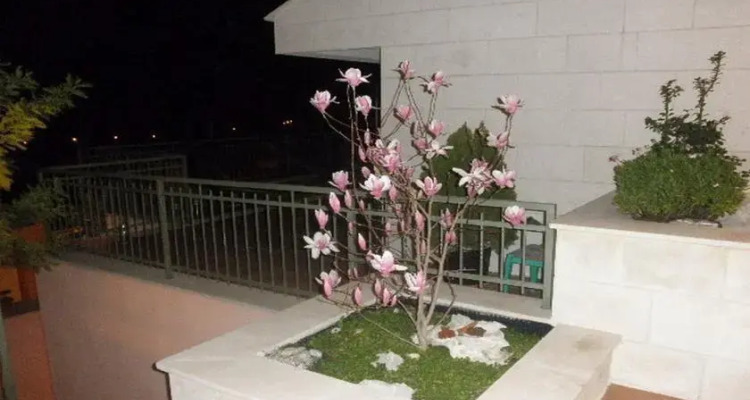 Apartments Margaretic