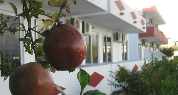 Stenna Apartments
