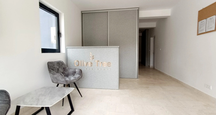 Olive Tree Apartments