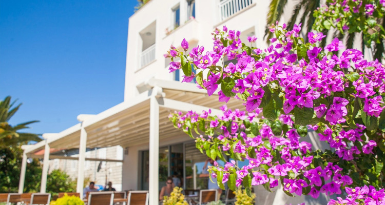 Boutique Hotel Casa Del Mare Blanche