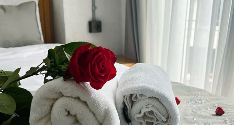 Elegance House Hotel