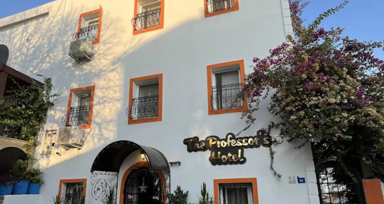 The Professor's Hotel