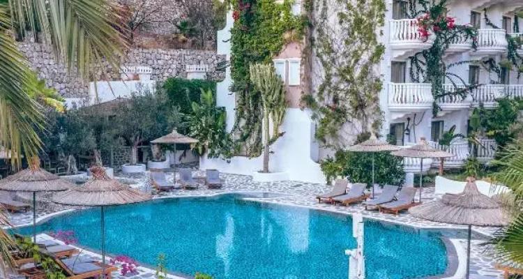 Flamingo Hotel & Spa Pet Friendly