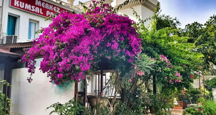 Merkez Kumsal Pansiyon