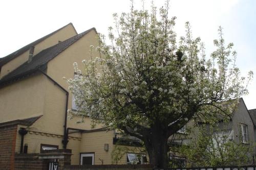 Compton Guest House — отзывы гостей и цены