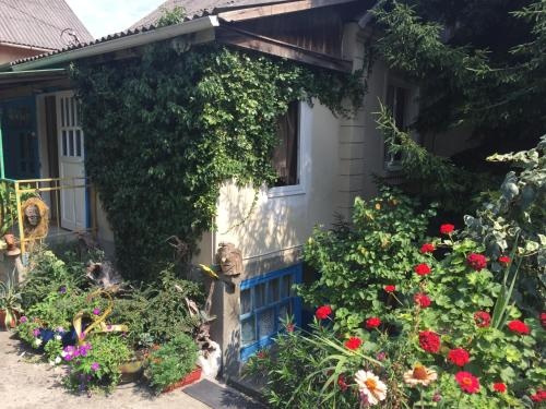 Цены на Guest House Grusheviy Dom в Сочи