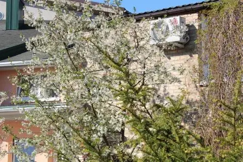 Цены на Nikole apartamentai в Вильнюсе