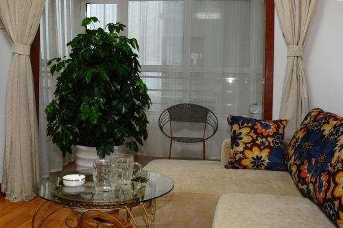 Qianxilong Apartment — комфортный отель в Циндао