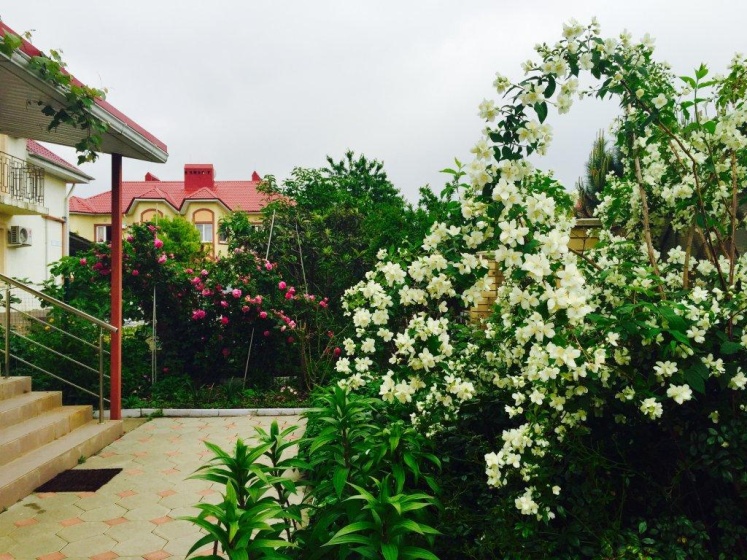 Guest House Victoria — комфортный отель в Сириусе