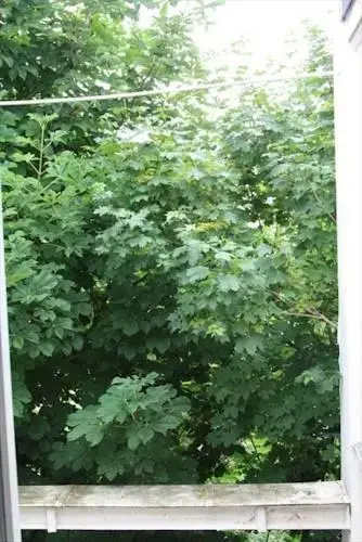 Very Charming Garden View 4 Sleeps in the Heart Saint Germain — отель с удобным расположением в Париже