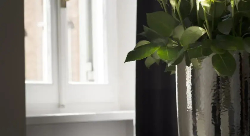 San Carlo Executive Apartment — отзывы гостей и цены