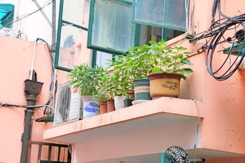 【Nest】Guesthouse near Xujiahui — отель с удобным расположением в Шанхае