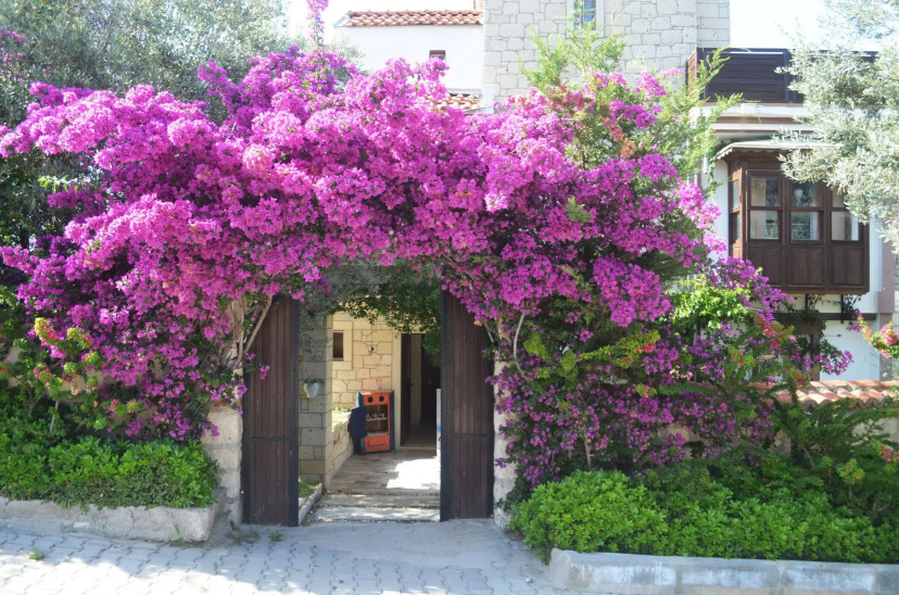 Сравните цены на Villa Mila Hotel в Чешме