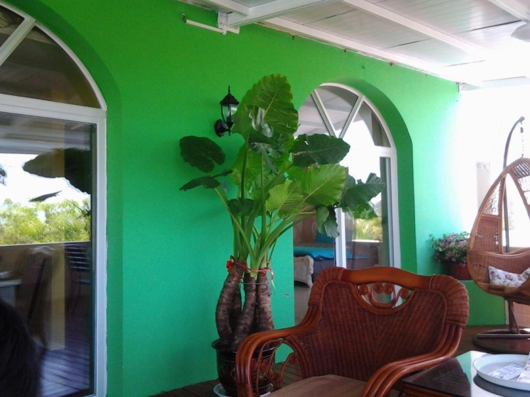 Sanya No. 5 Villa Dadonghai Bay — отзывы гостей и цены