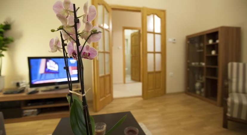 Unique Apartments — комфортный отель в Будапеште