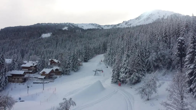Цены на Appartement en residence skis aux pieds avec sauna в Куршевеле
