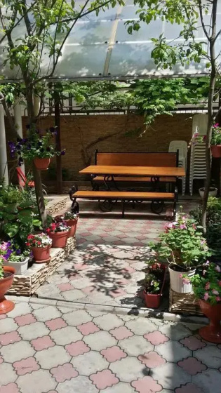 Olga Guest House — забронировать отель в Геленджике