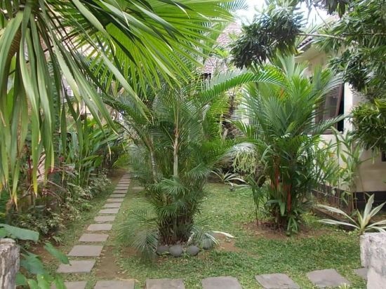 Sari Bunga Guest House — отзывы гостей и цены