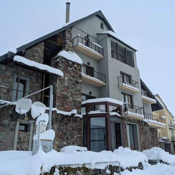 Otel' Shino 2 — отель в Гудаури, Грузия