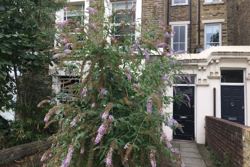 Stylish 1 Bedroom Apartment in Vibrant London Fields — забронировать отель в Лондоне