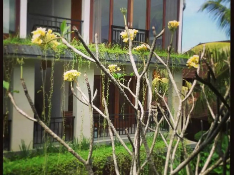 Nani House 2 — отель с удобствами в Убуде