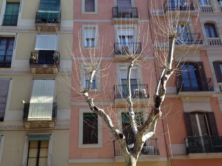 Sant Antoni Market 3 — отель в Барселоне, Испания