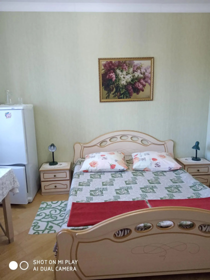 Agrousadba u Leonida — забронировать отель в Несвиж