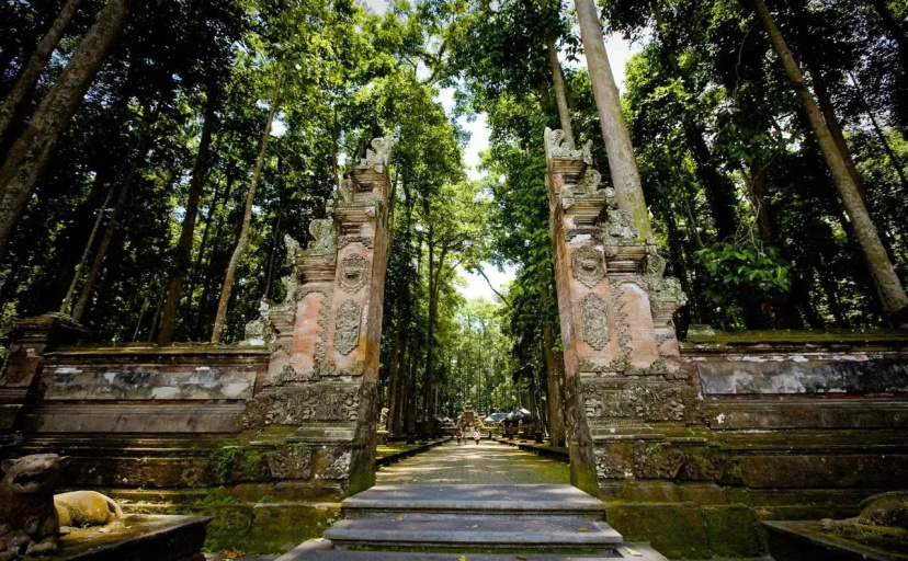 Ayu Ubud Hostel — отель в Убуде, Индонезия