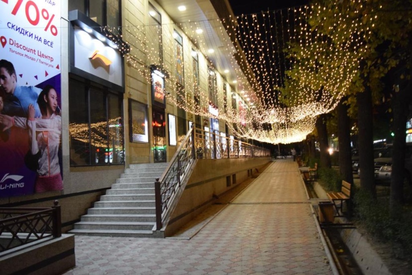 Apartment Kievskaya 114/2 — комфортный отель в Бишкек