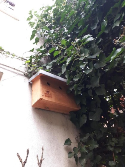 Цены на Le nichoir aux oiseaux в Париже