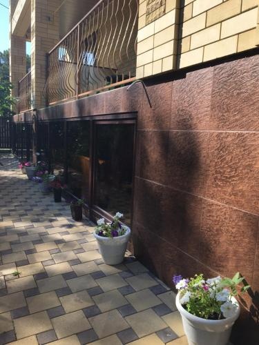 Цены на Guest House Nikita в Геленджике