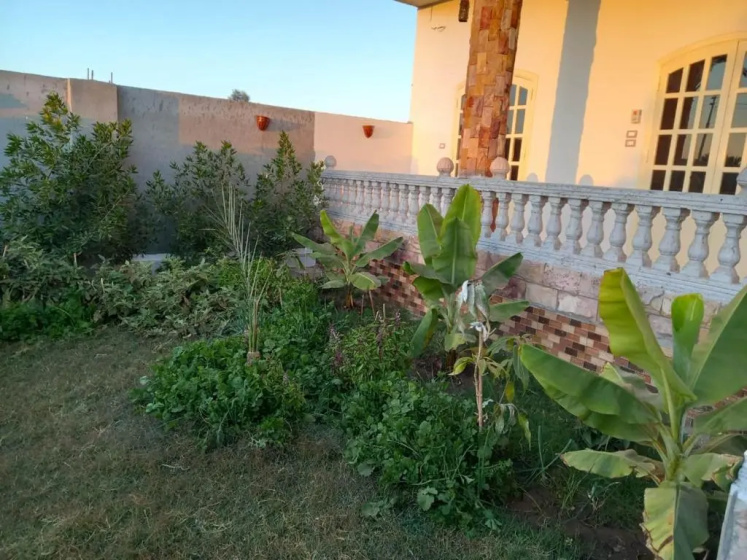 Noby Guest House — отель с удобствами в Луксоре