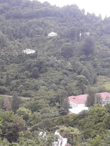 Soso'S Guest House — забронировать отель в Кобулети