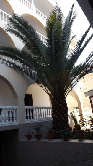 Marta Guest House — отель в Адлер, Россия