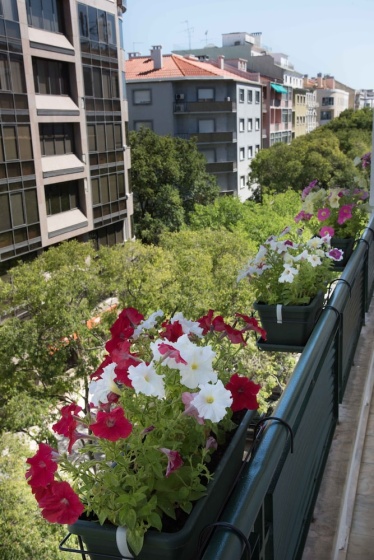 Flower Court - Guest House — отель с удобствами в Лиссабоне