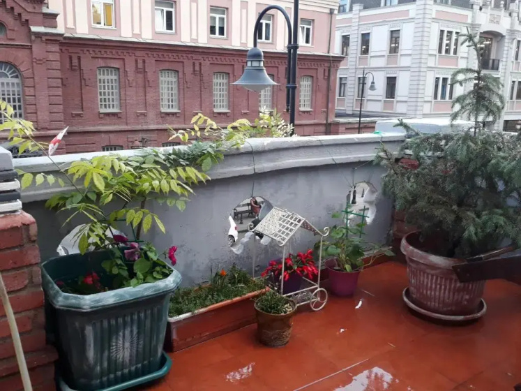 Цены на Salve veranda в Тбилиси