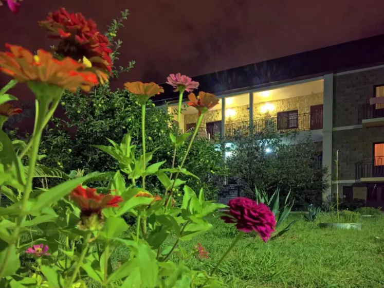 Relaxkomfort Guest House — отель с удобным расположением в Гудаута