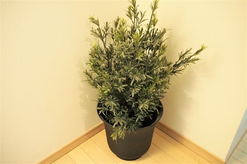City Street Inn 807 PH104 — отель с удобствами в Осаке